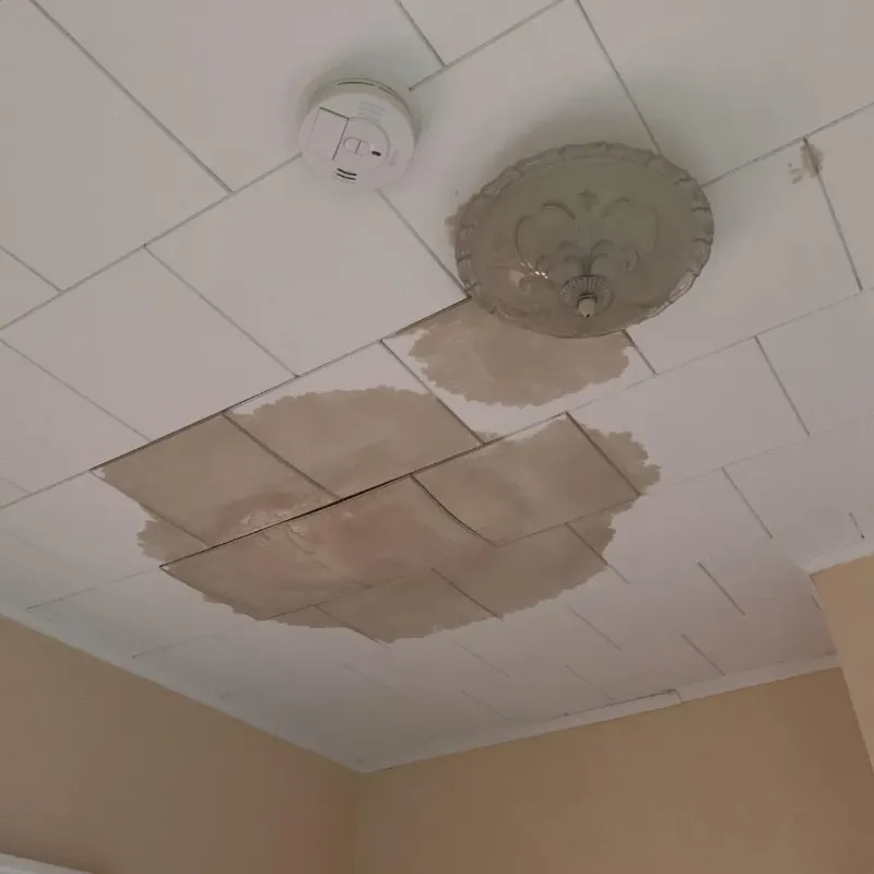 Ceiling Water Damage Repair in Brookhaven, WV