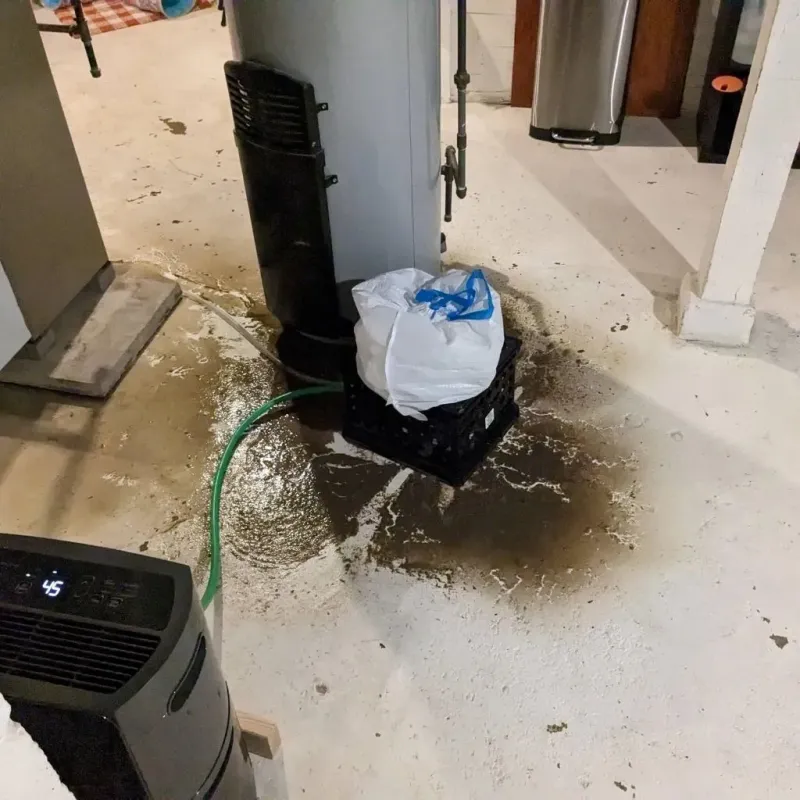 Sewage Backup Cleanup Service in Brookhaven, WV